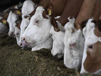 BOJA SA ZÁPACHU: V Lehote pod Vtáčnikom protestujú proti farme