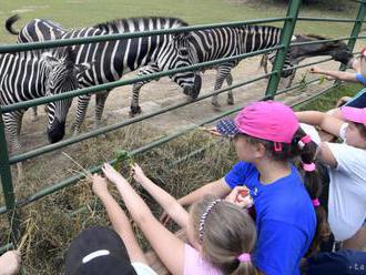 Bránami košickej zoo prešli už štyri milióny návštevníkov