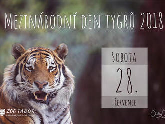 Mezinárodní den tygrů v Zoo Tábor