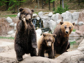 Den seniorů v Zoo Brno