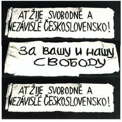 Beseda s účastníky protestů proti invazi do Československa v roce 1968