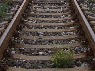 Železničná doprava pri Púchove je ochromená: Na trať spadol strom
