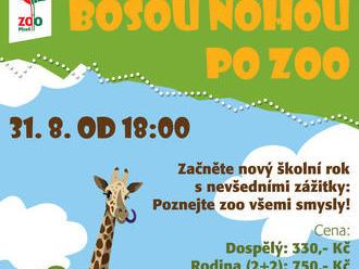 Bosou nohou po Zoo Plzeň