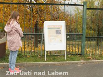 Stezkami Zoo Ústí nad Labem