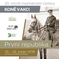 Koně v akcí - Pardubice