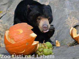 Strašidelná Zoo Ústí nad Labem