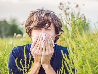 Alergici si ani cez leto neoddýchnu