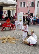 Jihočeský festival zdraví v Třeboni