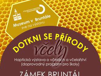 Dotkni se přírody - včely - Zámek Bruntál