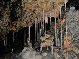 Stalagmitová brčka Bambusového lesa v Kateřinské jeskyni jsou světovým unikátem