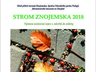 Strom Znojemska 2018