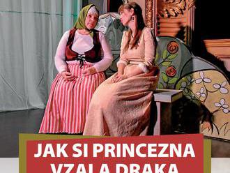 Jak si princezna vzala draka