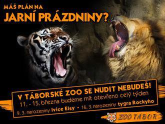 Jarní prázdniny v Zoo Tábor