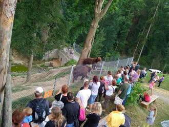 Víkend dobrovolného vstupného - Zoo Tábor