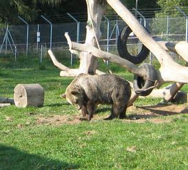 Za básničku do Zoo Tábor zdarma