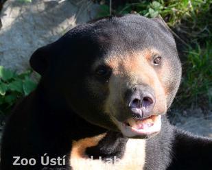 Za vyznamenání do Zoo Ústí nad Labem zdarma