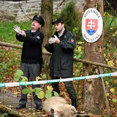 Strážmistr Topinka 3. díl - Zločin na farmě