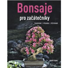 Bonsaje pro začátečníky