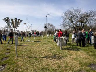 Environmentálny fond podporí projekty zamerané na ochranu biodiverzity