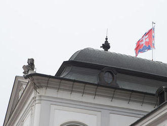 Čaputová sa pochytila s Matečnou. Škrty v zákone o lesoch si vykladajú inak