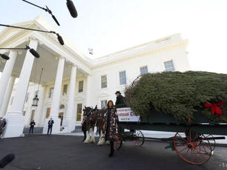 VIDEO: Melania Trumpová prevzala vianočný stromček pre Biely dom