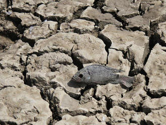 Slovom roka 2019 je podľa Oxfordského slovníka výraz 'klimatické ťažkosti'