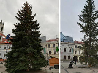 Vianočná groteska: V Banskej Bystrici menili vianočné stromčeky