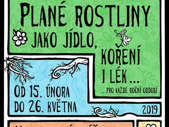 Plané rostliny jako jídlo, koření i lék