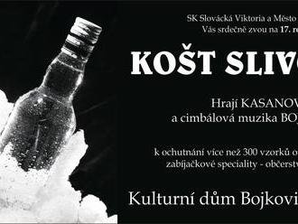 Košt slivovice - Bojkovice