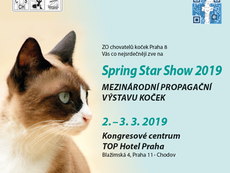 Výstava koček Spring Star Show 2019