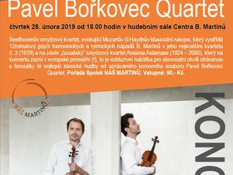 Koncert: Pavel Bořkovec Quartet