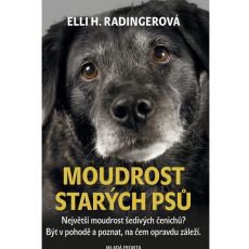 Moudrost starých psů