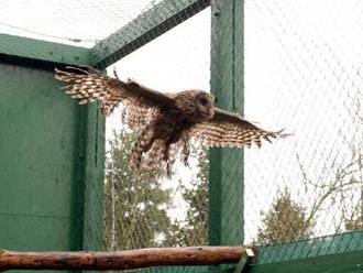 V Národnej zoologickej záhrade v Bojniciach pribudla nová voliéra