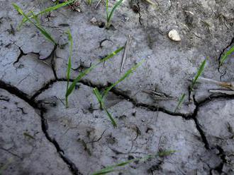 V Španielsku sa v dôsledku klimatických zmien predlžujú letá