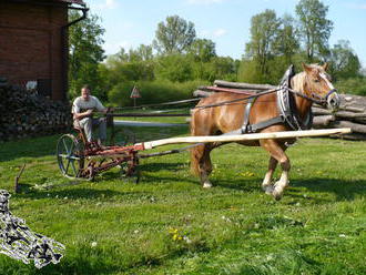 Hospodaření na vsi - Krňovice