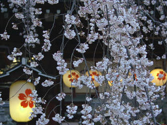 Jarní Kjóto