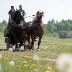 Co naše babičky uměly a na co my jsme zapomněli - Řemesla