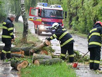 Silný vietor spôsobuje problémy v Bratislavskom kraji: Popadané stromy, odtrhnutá strecha