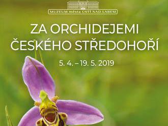 Za orchidejemi Českého středohoří