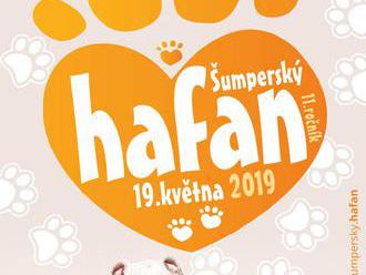 Šumperský hafan 2019