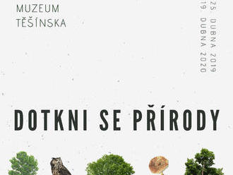 Dotkni se přírody – les