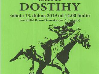 Brněnské dostihy