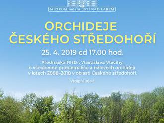 Orchideje Českého středohoří