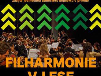 Filharmonie v lese