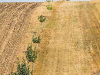 Boj proti suchu: Poslanci chtějí ztížit prodej zemědělské půdy pro výstavbu, přednost by měli dostat