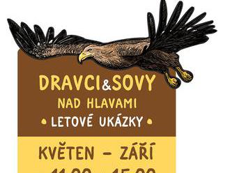 Pravidelné letové ukázky sov a dravců - Zoo Jihlava