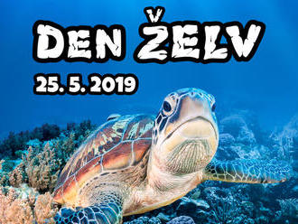 Den želv v Zoo Brno