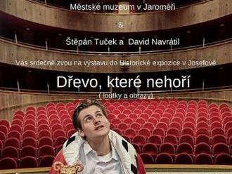 Dřevo, které nehoří