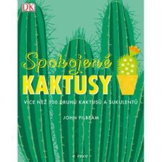 Spokojené kaktusy