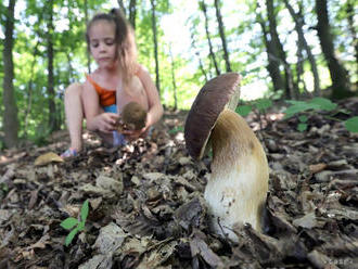 Pondelkové počasie poteší snáď každého, ochladí sa